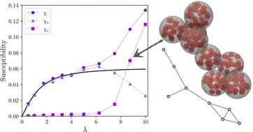 Graphical abstract: Multicore-based ferrofluids in zero field: initial magnetic susceptibility and self-assembly mechanisms