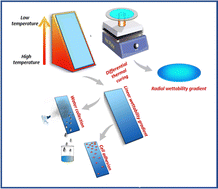 Graphical abstract: Facile fabrication of stable wettability gradients on elastomeric surfaces for applications in water collection and controlled cell adhesion