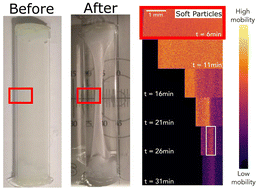 Graphical abstract: Spatially heterogenous dynamics in colloidal gels during syneresis