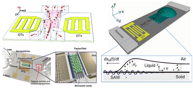 Graphical abstract: Surface acoustic wave manipulation of bioparticles