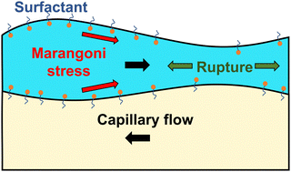 Graphical abstract: Instability and rupture of surfactant-laden bilayer thin liquid films