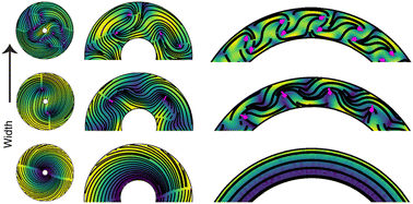 Graphical abstract: From disks to channels: dynamics of active nematics confined to an annulus