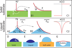 Graphical abstract: Peeling from a liquid