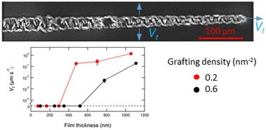 Graphical abstract: Swelling induced debonding of thin hydrogel films grafted on silicon substrates