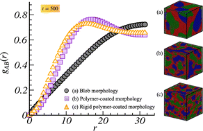 Graphical abstract: Segregation of fluids with polymer additives at domain interfaces: a dissipative particle dynamics study