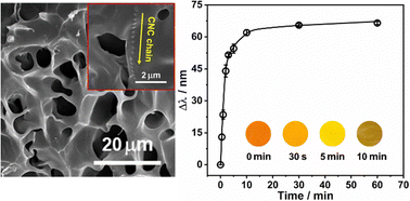 Graphical abstract: A K+-sensitive photonic crystal hydrogel sensor for efficient visual monitoring of hyperkalemia/hypokalemia