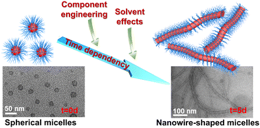 Graphical abstract: Well-shaped poly(dimethylsiloxane)-based copolymer nanowires from spherical micelles via kinetic shape evolution
