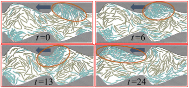 Graphical abstract: Controlling the transport of the mixture involving active and passive rods in confined channel