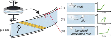 Graphical abstract: The interplay between nucleation and patterning during shear-induced crystallization from solution in a parallel plate geometry