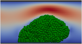 Graphical abstract: A novel model for biofilm initiation in porous media flow