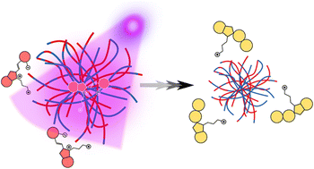 Graphical abstract: Making microgels photo-responsive by complexation with a spiropyran surfactant