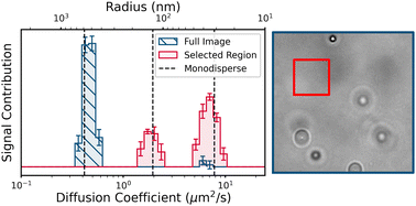 Graphical abstract: Sizing multimodal suspensions with differential dynamic microscopy