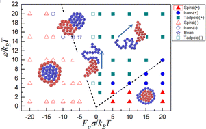 Graphical abstract: Configuration and dynamics of a self-propelled diblock copolymer chain