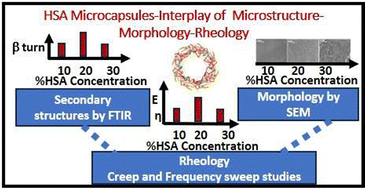 Graphical abstract: Study of the interfacial viscoelasticity of human serum albumin microcapsules using a viscoelasto-electrohydrodynamic technique