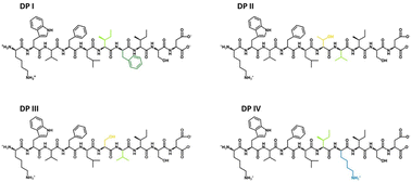 Graphical abstract: De novo amyloid peptides with subtle sequence variations differ in their self-assembly and nanomechanical properties