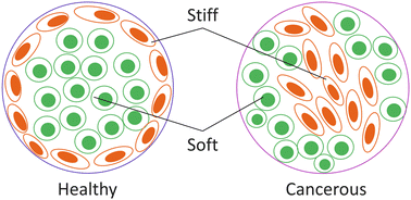 Graphical abstract: Effect of non-linear strain stiffening in eDAH and unjamming