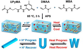 Graphical abstract: Thermal- and pH-responsive triple-shape memory hydrogel based on a single reversible switch