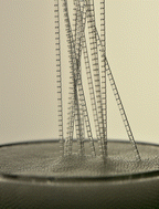 Graphical abstract: Dynamics of bubbles spontaneously entering into a tube