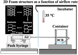 Graphical abstract: Effect of airflow rate and drainage on the properties of 2D smectic liquid crystal foams
