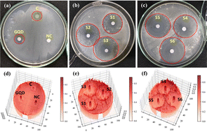 Graphical abstract: Graphene quantum dot doped viscoelastic lyotropic liquid crystal nanocolloids for antibacterial applications