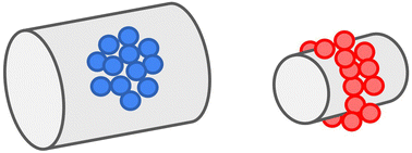 Graphical abstract: Tube geometry controls protein cluster conformation and stability on the endoplasmic reticulum surface