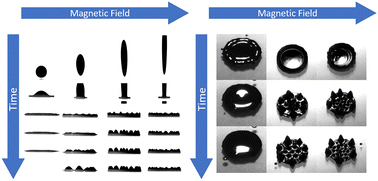 Graphical abstract: Ferrofluid drop impacts and Rosensweig peak formation in a non-uniform magnetic field