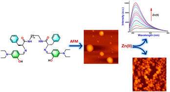 Graphical abstract: l-Phenylalanine-derived pseudopeptidic bioinspired materials: Zn(ii) induced fluorescence enhancement and precise tuning of self-assembled nanostructures