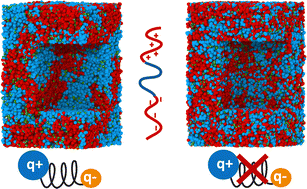 Graphical abstract: The effect of monomer polarizability on the stability and salt partitioning in model coacervates
