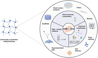 Graphical abstract: Crosslinking strategies in modulating methylcellulose hydrogel properties