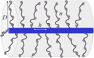 Graphical abstract: Cylindrical brushes with ionized side chains: Scaling theory revisited