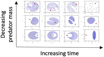 Graphical abstract: Inertial effect on evasion and pursuit dynamics of prey swarms: the emergence of a favourable mass ratio for the predator–prey arms race