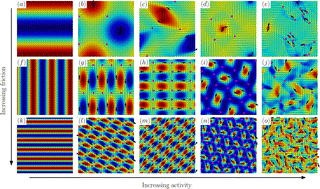 Graphical abstract: Vorticity phase separation and defect lattices in the isotropic phase of active liquid crystals