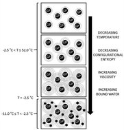 Graphical abstract: Temperature dependence of the viscoelastic properties of a natural gastropod mucus by Brillouin light scattering spectroscopy