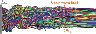 Graphical abstract: Shock compression of semiflexible polymers