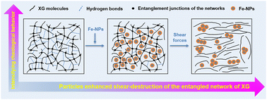 Graphical abstract: Rheological behavior of xanthan gum suspensions with Fe-based nanoparticles: the effect of nanoparticles and the mechanism