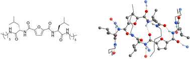 Graphical abstract: Development of furan-2,5-dicarboxylic acid (FDCA)-based organogelators