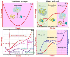 Graphical abstract: A double-well potential model for glass transition in a glassy hydrogel undergoing bi-stable interactions with water