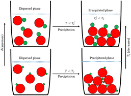 Graphical abstract: Effect of shape anisotropy on the precipitation of dimeric nanoparticles