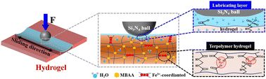 Graphical abstract: Cartilage-inspired terpolymer hydrogel with excellent mechanical properties and superior lubricating ability