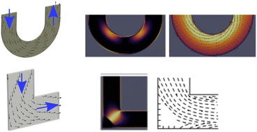 Graphical abstract: Curvature-mediated programming of liquid crystal microflows