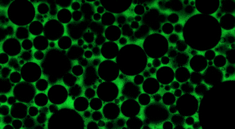 Graphical abstract: Experimental observations of fractal landscape dynamics in a dense emulsion