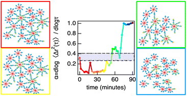 Graphical abstract: Characterizing rheological properties and microstructure of thioester networks during degradation