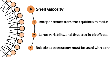 Graphical abstract: Shell viscosity estimation of lipid-coated microbubbles