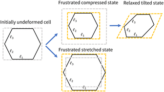 Graphical abstract: Finite elasticity of the vertex model and its role in rigidity of curved cellular tissues