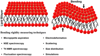 Graphical abstract: A review on the measurement of the bending rigidity of lipid membranes