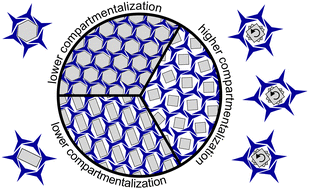Graphical abstract: Tunable assembly of host–guest colloidal crystals