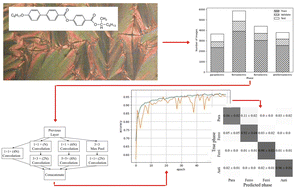 Graphical abstract: Machine learning classification of polar sub-phases in liquid crystal MHPOBC