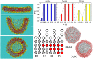 Graphical abstract: Effects of lipid saturation on bicelle to vesicle transition of a binary phospholipid mixture: a molecular dynamics simulation study