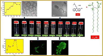 Graphical abstract: Comparative studies on the aggregate formation of synthesized zwitterionic gemini and monomeric surfactants in the presence of the amphiphilic antipsychotic drug chlorpromazine hydrochloride in aqueous solution: an experimental and theoretical approach