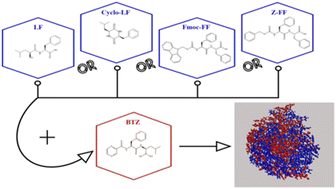 Graphical abstract: Investigating the complexation propensity of self-assembling dipeptides with the anticancer peptide-drug Bortezomib: a computational study